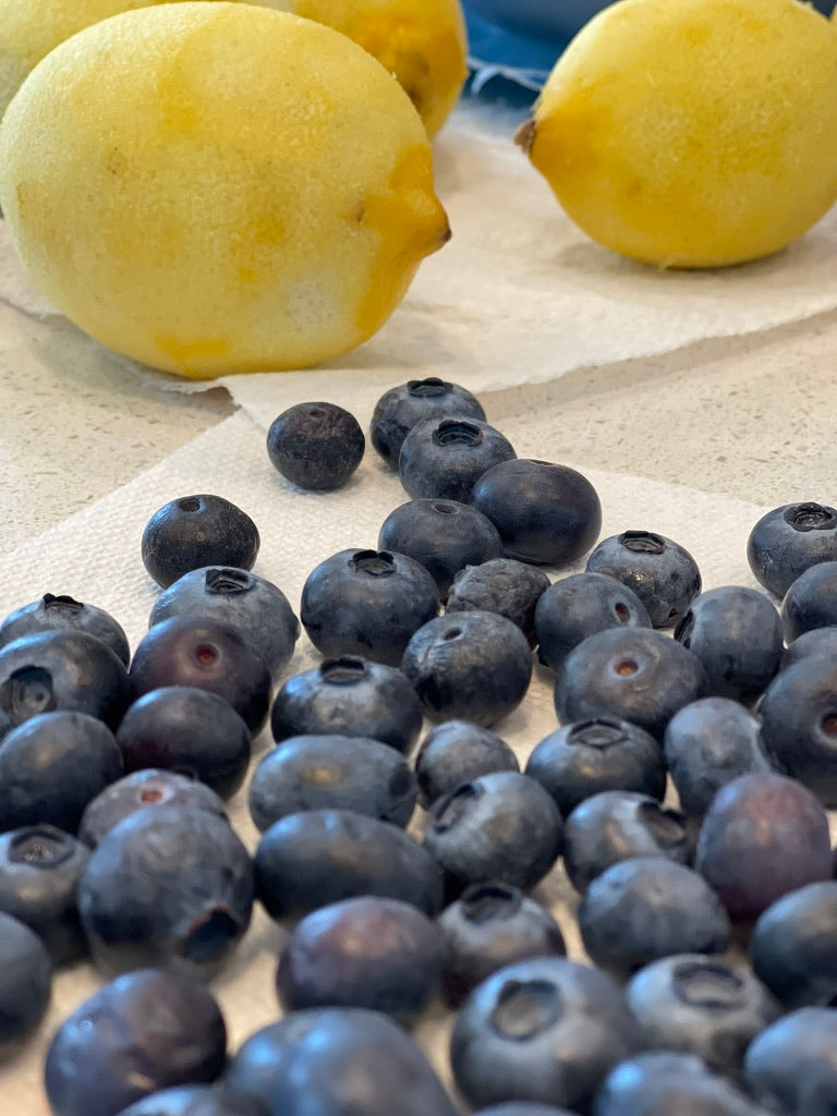 Blueberry Lemon Scone Bites